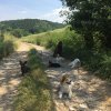 Hundebetreuung